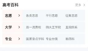 ����߿���