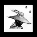 ��������2026���°汾v2.1 �ֻ���