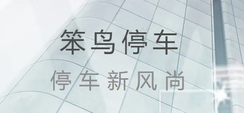 ����ͣ��(ͣ����������)