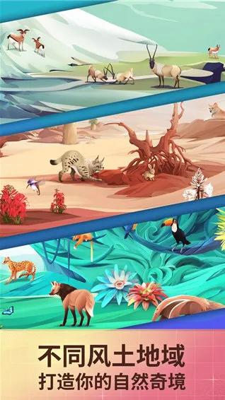 �����澳(����������Ϸ)