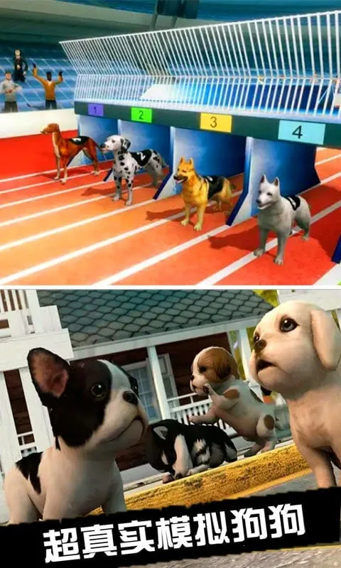 我的萌宠世界安卓版手机版 我的萌宠世界安卓版手机版