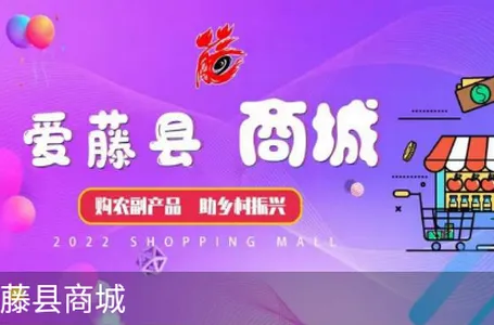 ������ý