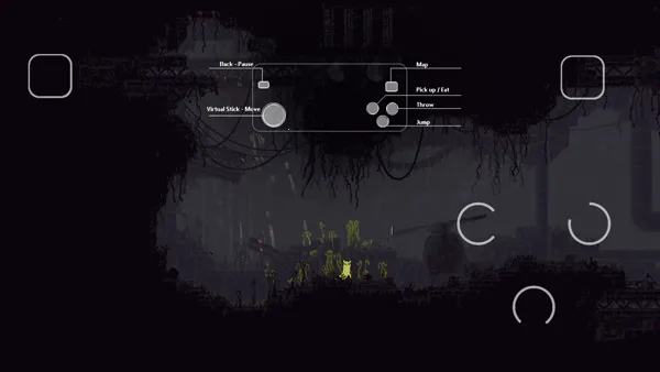 雨的世界 雨的世界