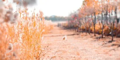 ȫջȥˮӡ��׿���ֻ���