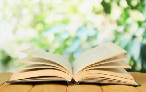 �ո�С˵2026�ٷ�����