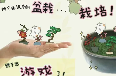 ���Դ�ʦ2026���ذ�װ