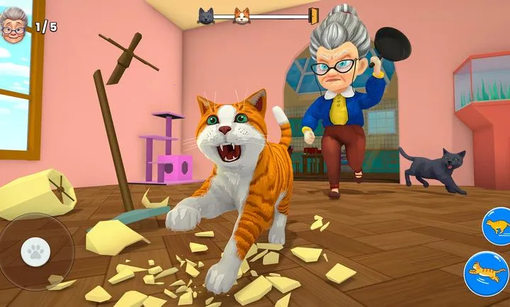 ����è2026���°汾