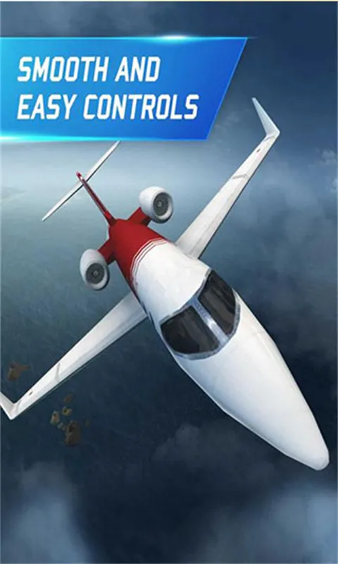 ��ʵ����ģ����RFS�����ֻ���