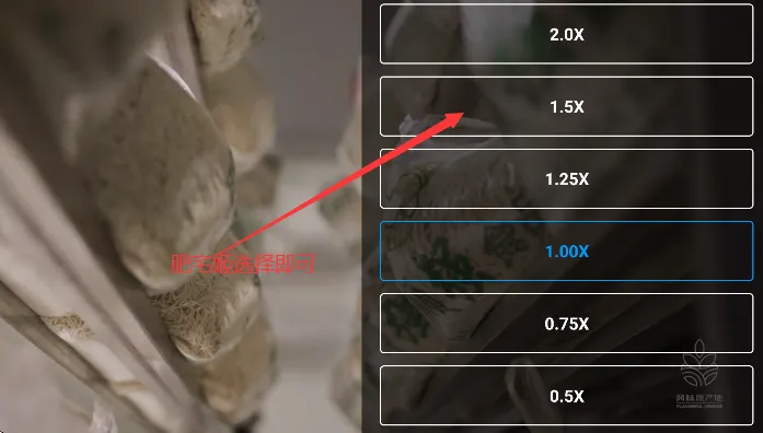 ����Ӱ��2026����