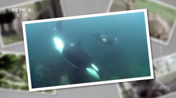 ������������ֻ���v2.3.3 ��׿��