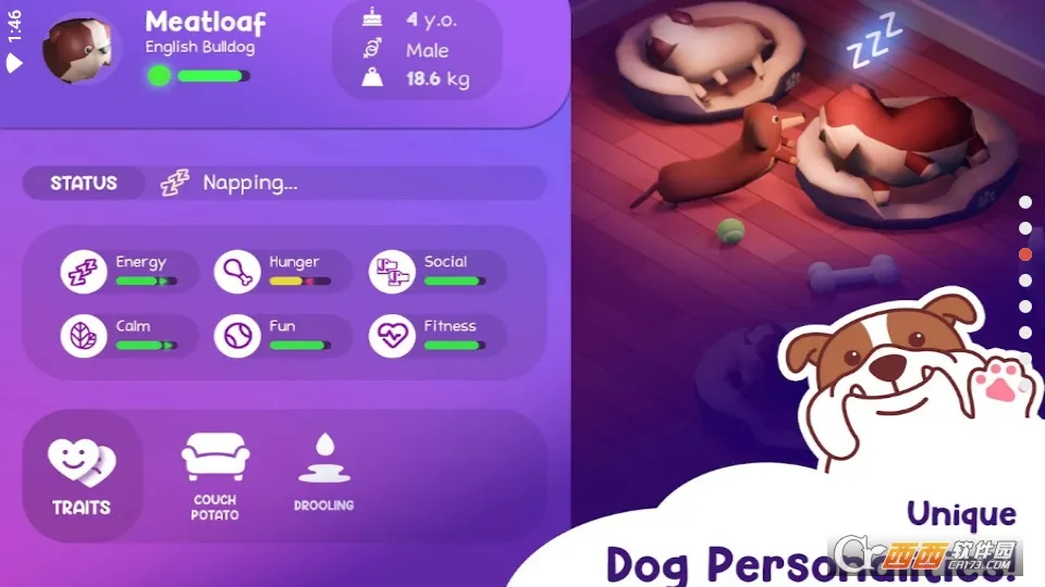 �������Ƶ�