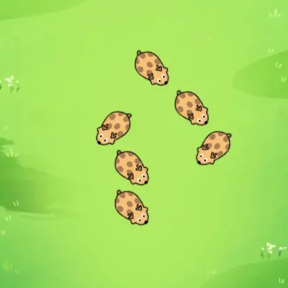 С������2026����