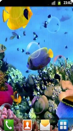 ˮݶֽ̬2025°汾