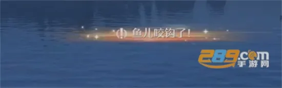 Infinity Nikki(绻װ)