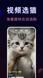 ﱦ-һվʽƽ̨()v4.5.5 ֻ