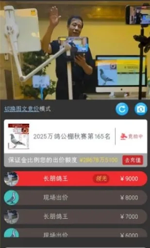 ����2026����