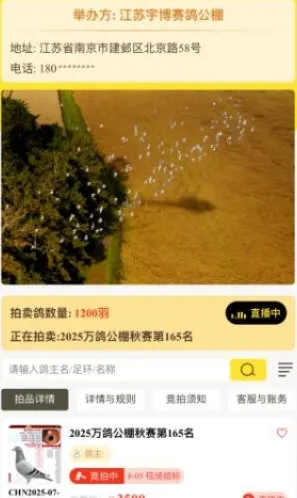 ����2026����