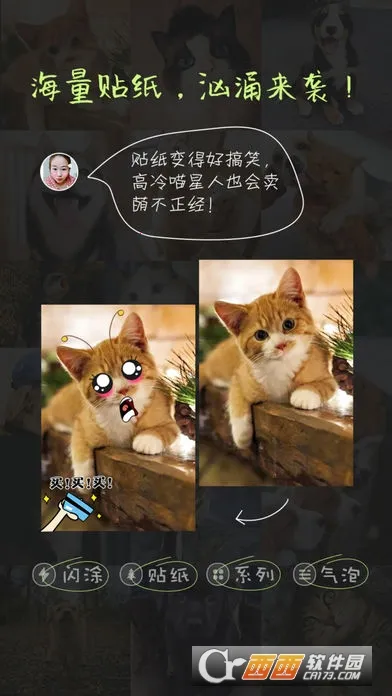 �ȳ����2026���°汾v1.0 �ֻ���