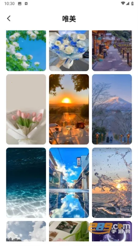 拇指壁纸2026下载安装 拇指壁纸2026下载安装