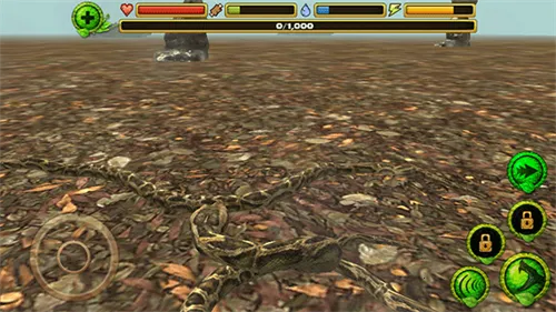 ����ģ����v1.5 ��׿��