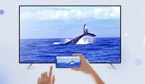 ��Ͷ��2026�ٷ����°汾