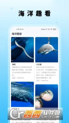 ����Ȥ��v1.4.64 �ֻ���