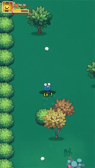 ˮ�����Ҷ�2026�ٷ�����