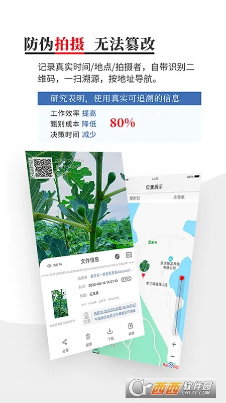 ʱ��ӡ2026����v216 �ֻ���