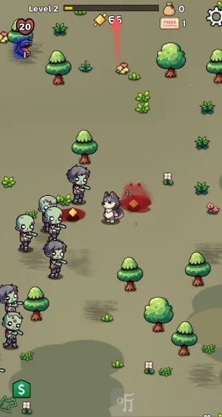 צ�ӶԿ�����2026���°汾