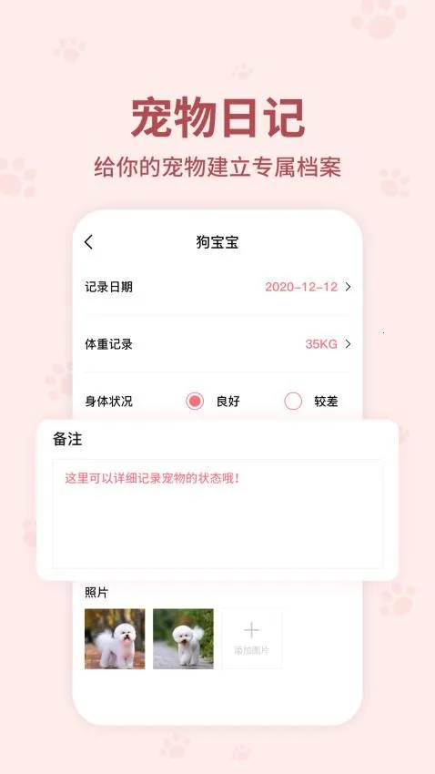 ���﷭����ȫ������v6.2.369 �ֻ���