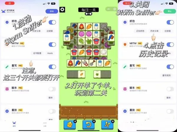 stormsnifferץ������