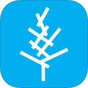 ��ľѧϰv4.3.2 �ֻ���