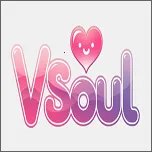 vsoul΢�鰲׿���ֻ���v3.0.1 ��׿��