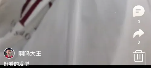 corgi�»�app����