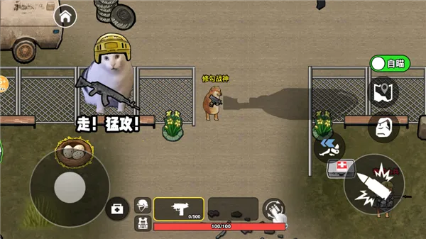 �޹���������������