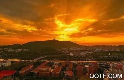 ħ����ֽ2026�ٷ�����