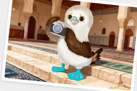 ֪��Reso AI���