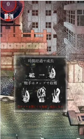 �����ֵ��̵�