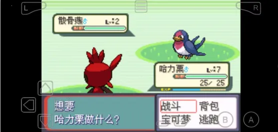 �ڴ������������������ֻ���