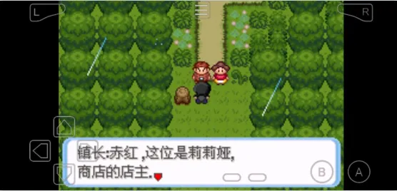 �ڴ������������������ֻ���