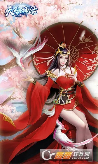 ������2026����