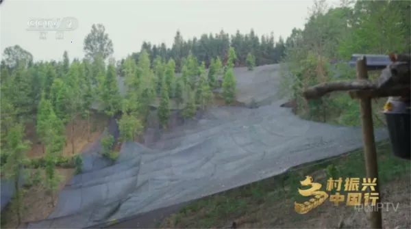 ����Ӱ��TV����2026�ٷ����°汾