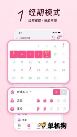 ����2026���°汾