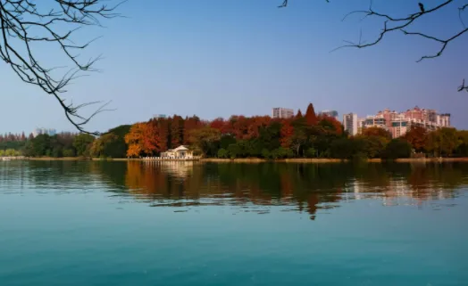 B12���2026�ٷ����°汾