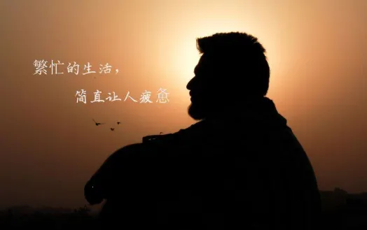 ���䱸��¼2026���°汾