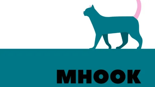 mHook������2026���ذ�װ