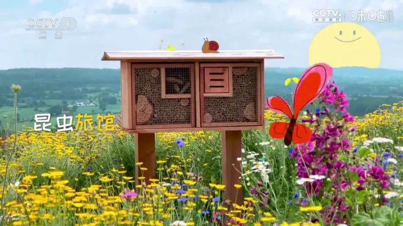 �ȵ�С��2026���°汾vLIVE ��׿��