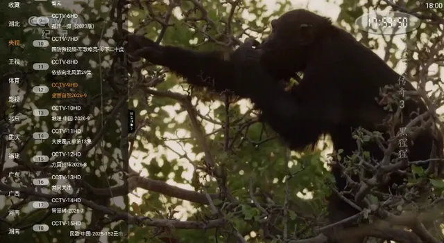 ���TV����ֱ��v1.0.5 �ֻ���