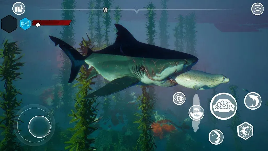 ʳ�����ֻ���v1.4.2 ��׿��