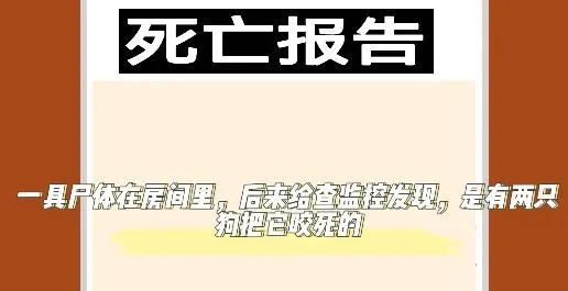 С���������ҹ�󹬺�����2026����